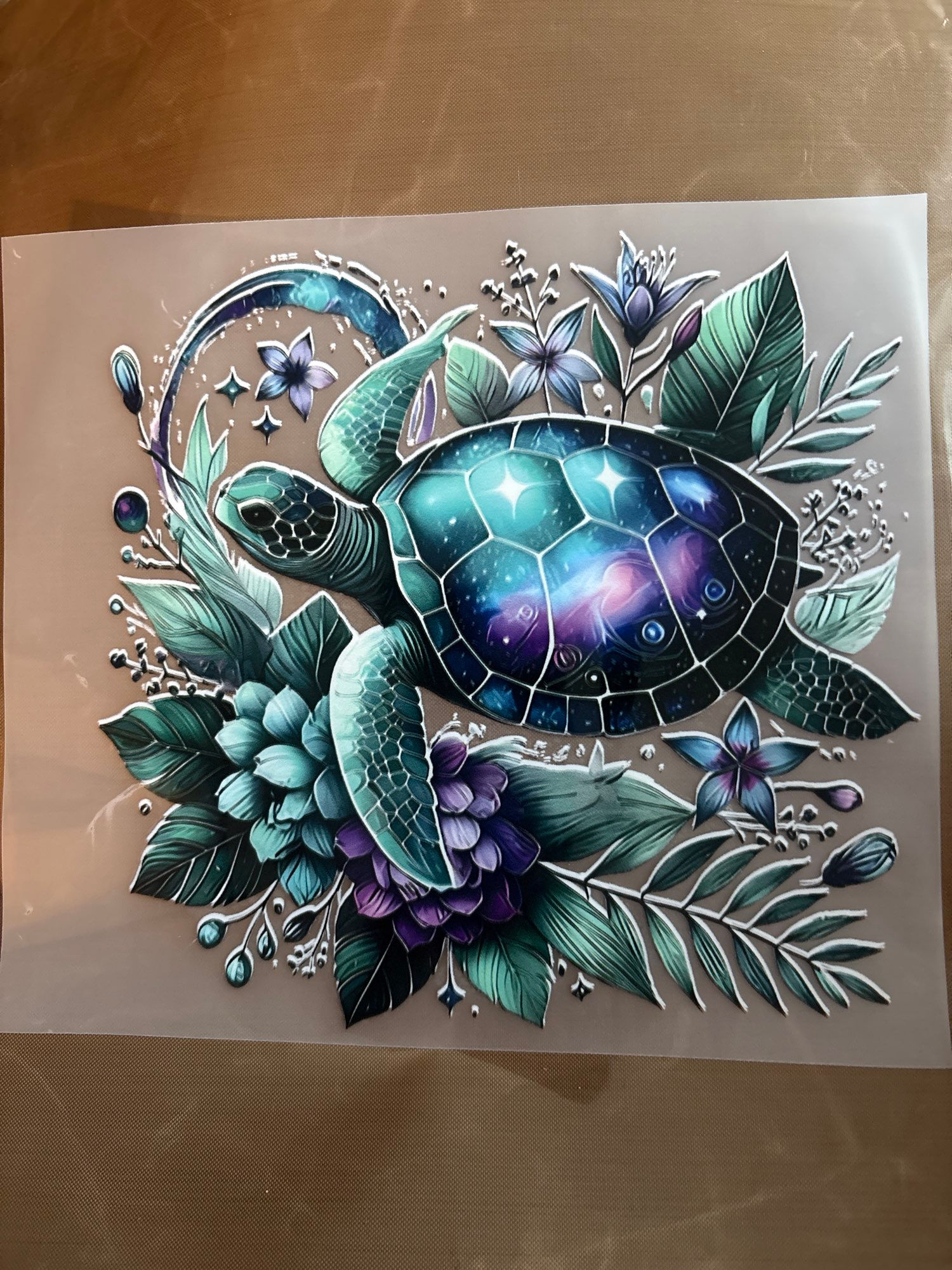 Pretty turtle 