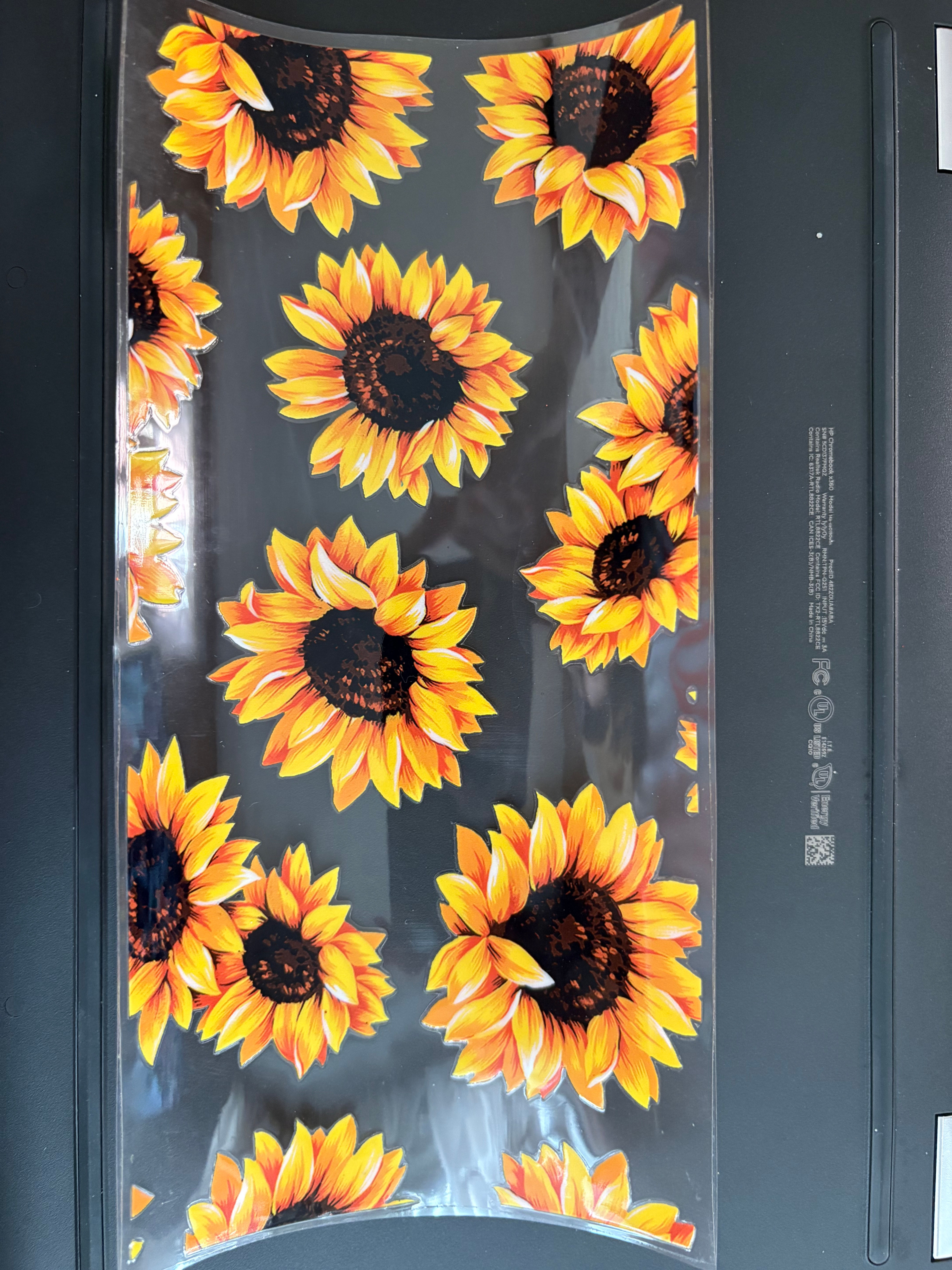 Sun flower 