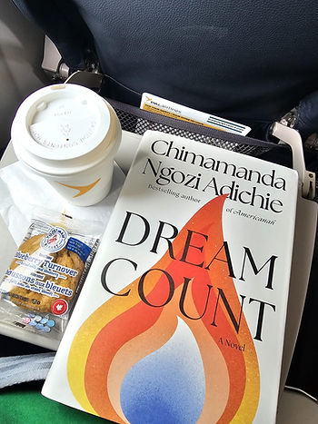 A book with a fire flame design, black bold fonts, and a white cup and cookie in an airplane.
