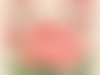 The Blossoming Garden: Cultivating Self-Love in a Busy World