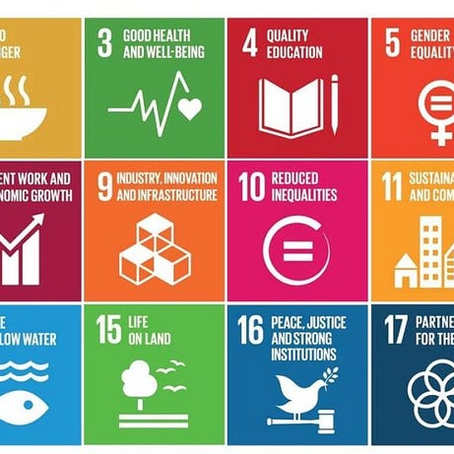 #MSDdiaries; Musings on Poverty and Development