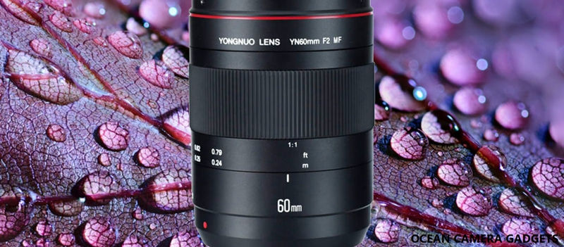 Thumbnail: Yongnuo YN 60mm f/2 MF macro prime lens for Canon DSLR