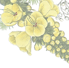 Illustrated Flowers_edited.png