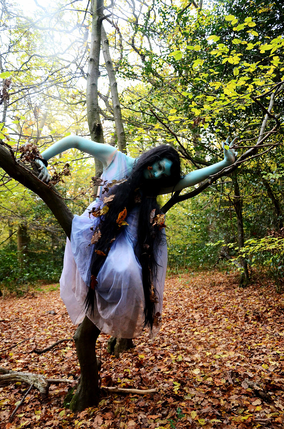 Dragon Mother 2010