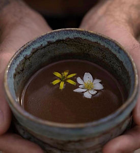 cacao.jpg