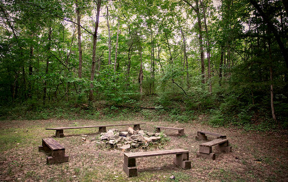 Circle of benches around a fire pit in the forest at Camp Takimina