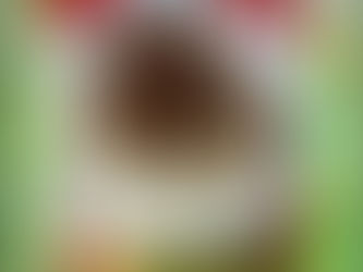 「山蕗しぐれ」まもなく販売終了いたします。