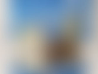 新商品　極上しびれじゃこ