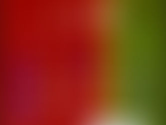 12月の営業日のご案内