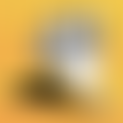 A Step-by-Step Guide to Create a Lead Generation Sales Funnel