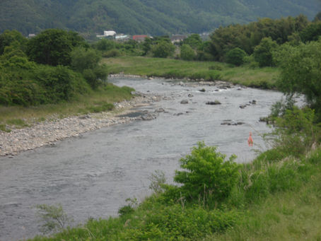 河川状況