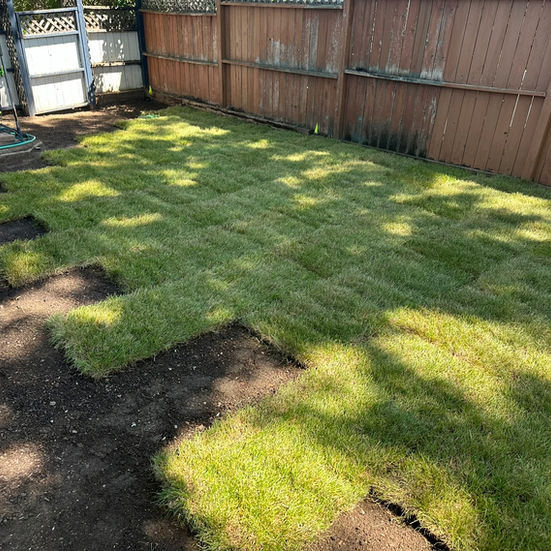 Sodding and Slate Rock Walkway