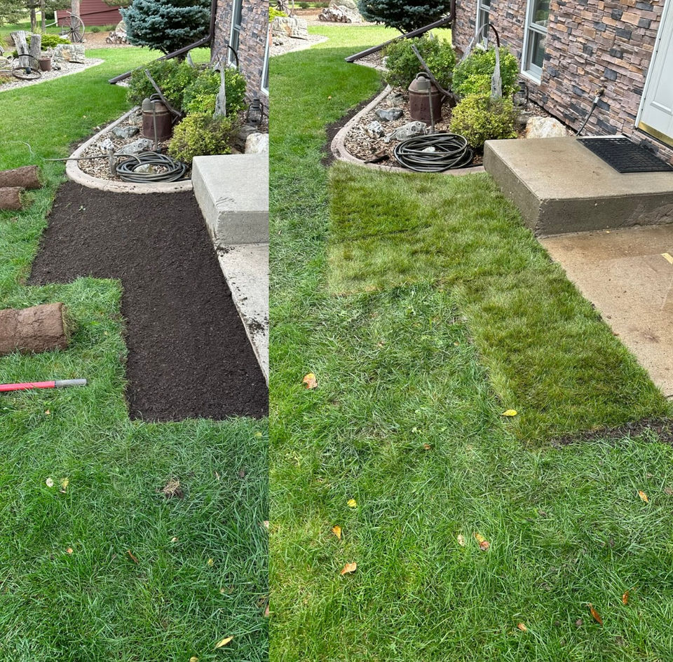 Small Patch of Sod Replaced