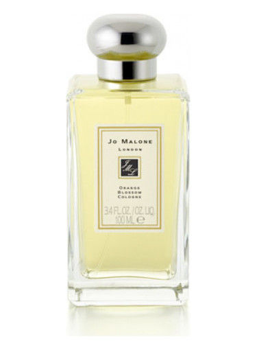 Orange Blossom