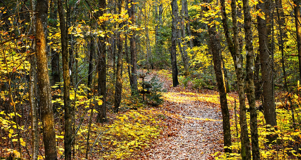 Publication Instagram Marque Collage Photos Moodboard Minimaliste Marron (77)_edited.jpg