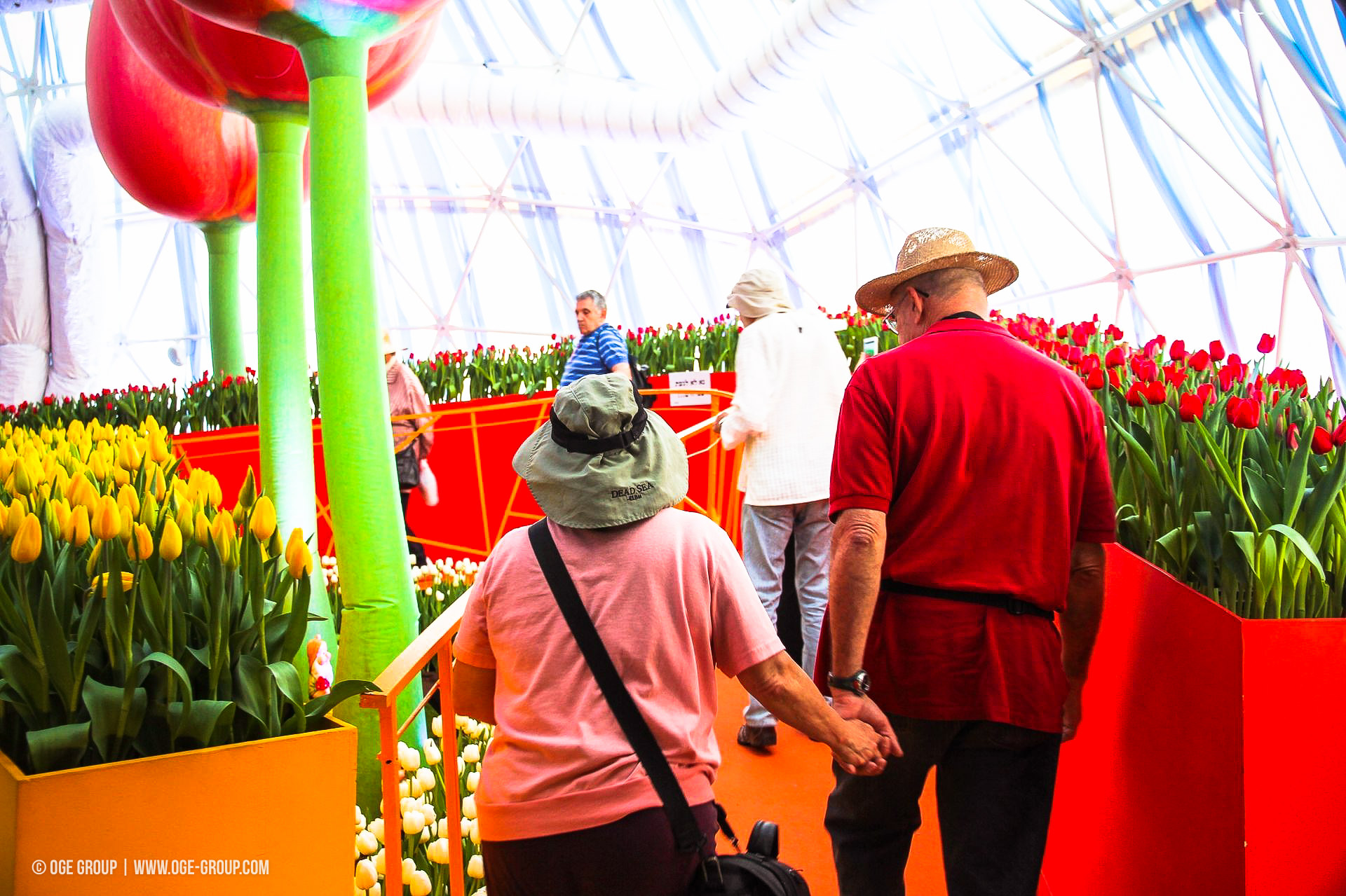 OGE-Flower-Show-Rainbow-18