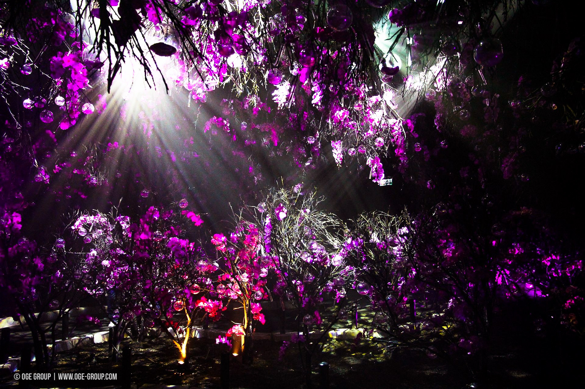 OGE-Flower-Show-upside-2