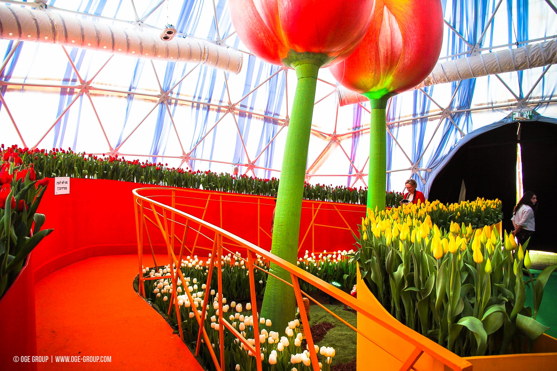 OGE-Flower-Show-Rainbow-10