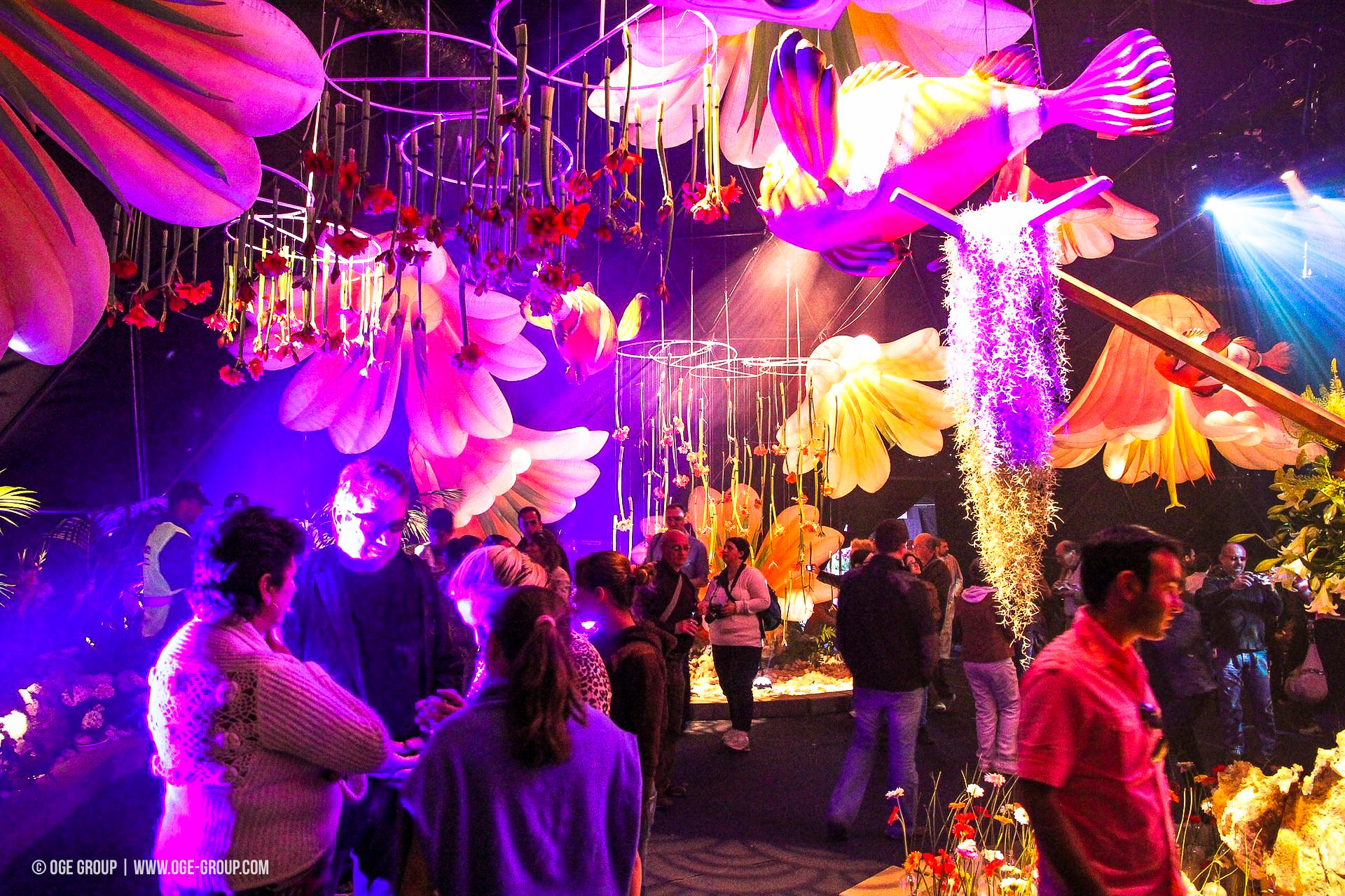 OGE-Flower-Show-Underwater-23