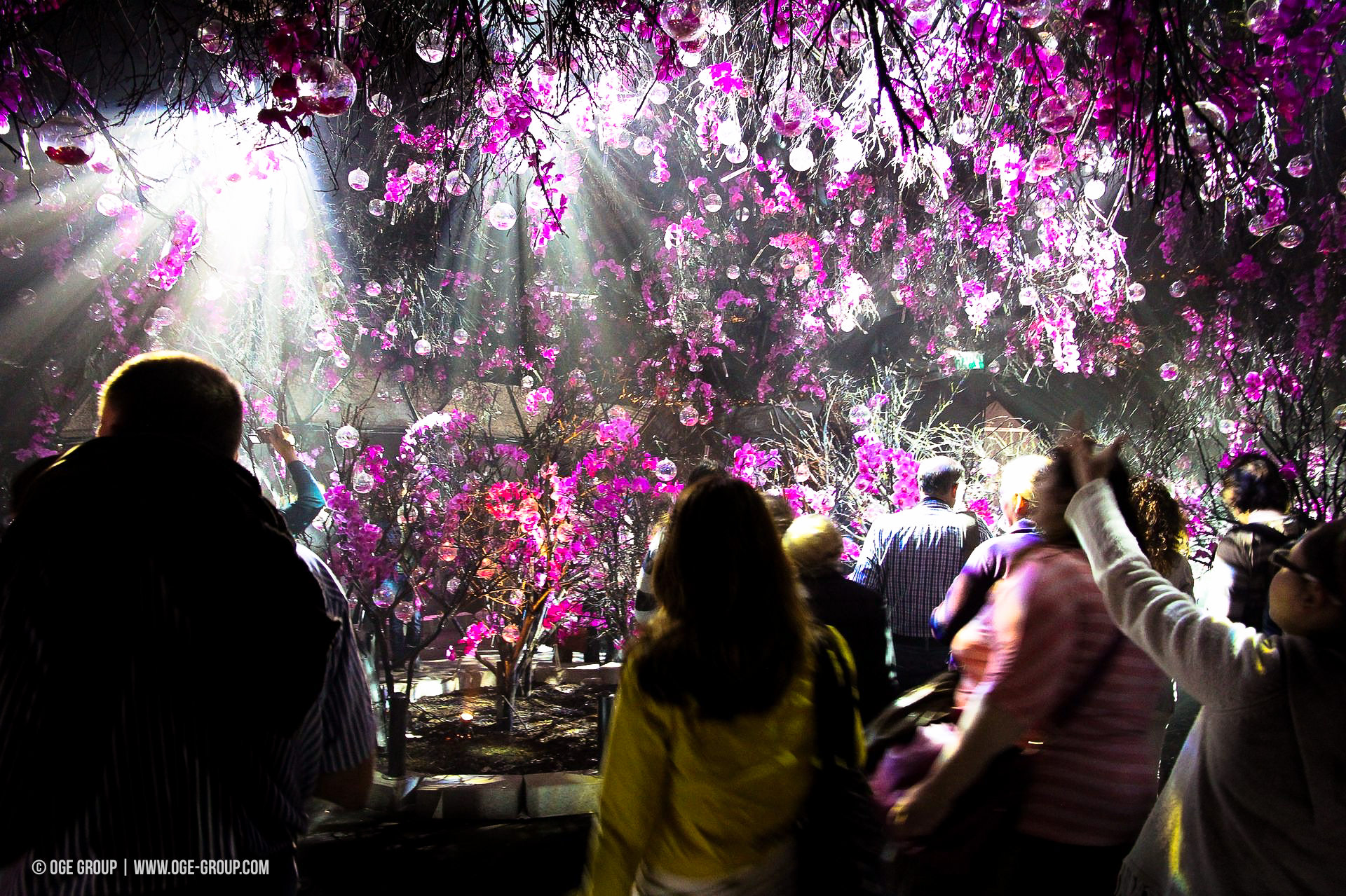 OGE-Flower-Show-upside-12