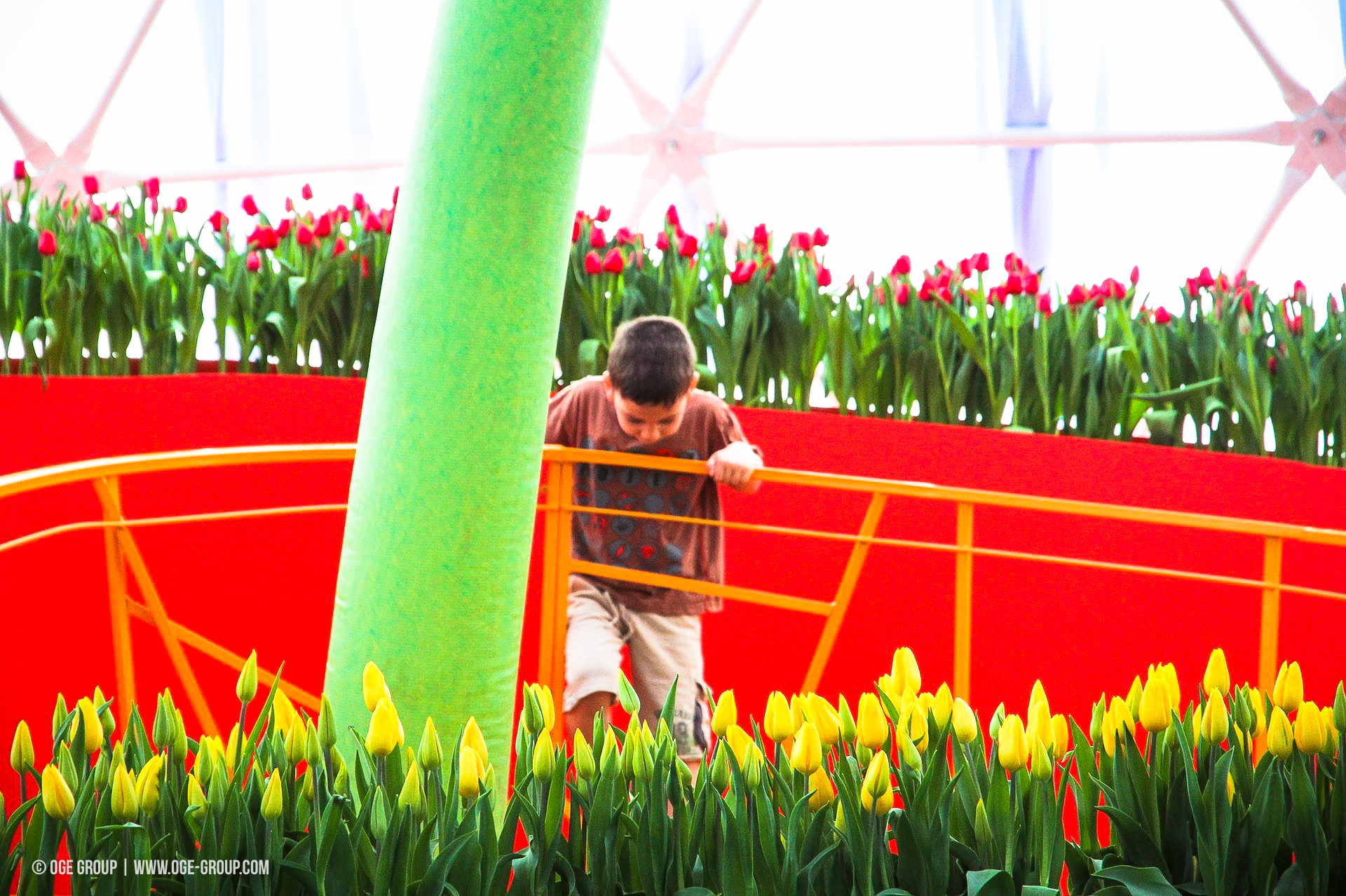 OGE-Flower-Show-Rainbow-13