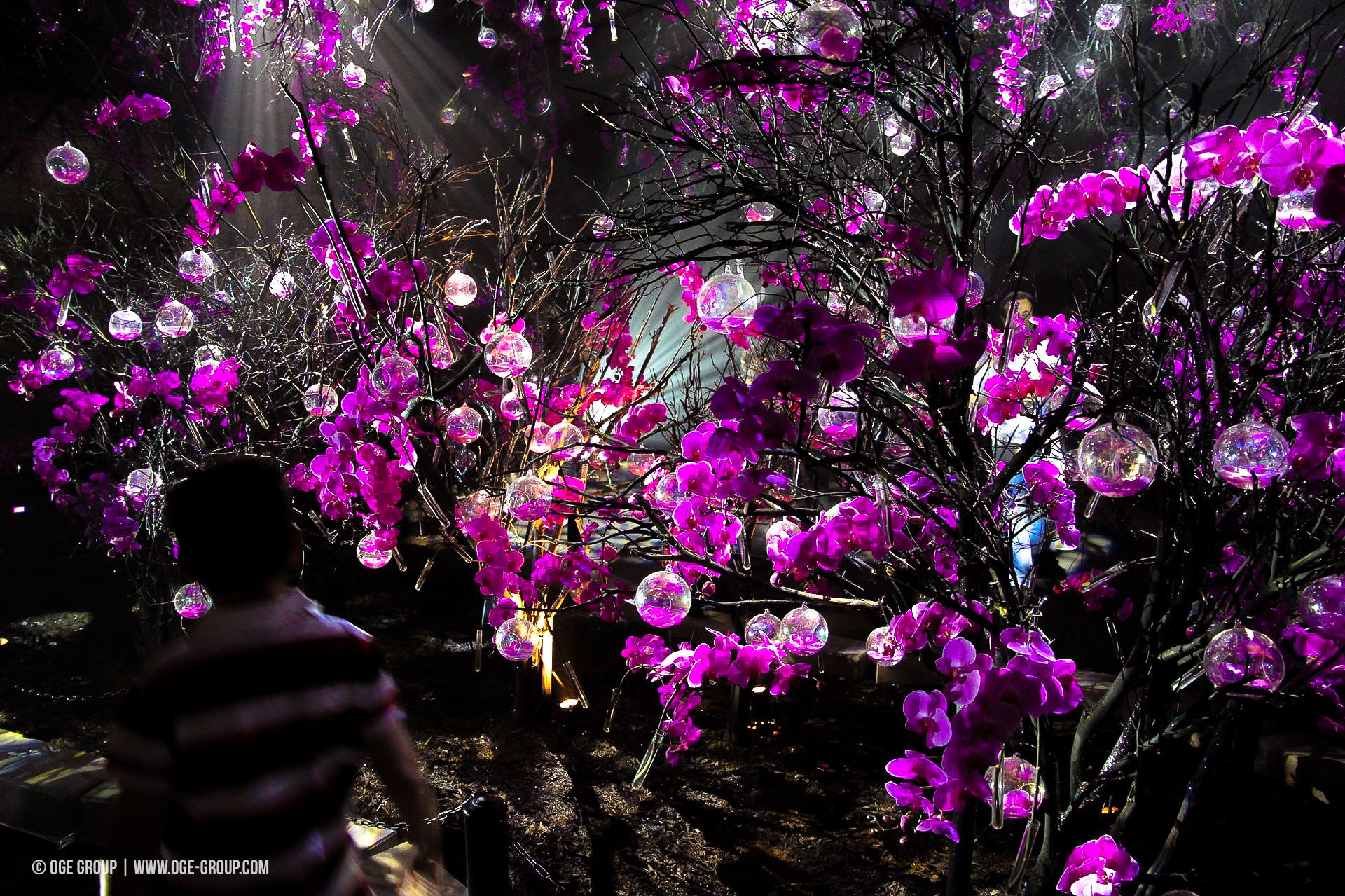 OGE-Flower-Show-upside-5