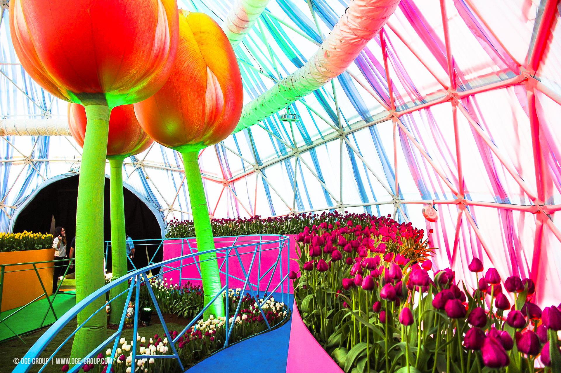 OGE-Flower-Show-Rainbow-11