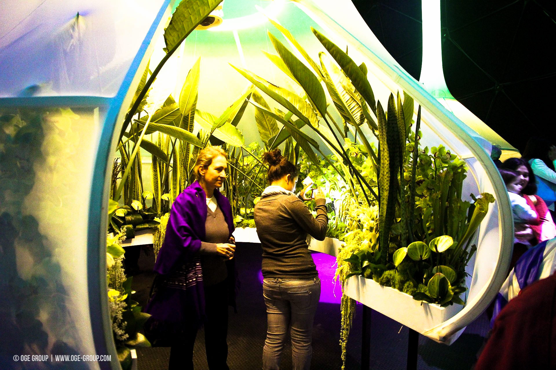 OGE-Flower-Show-Scents-14
