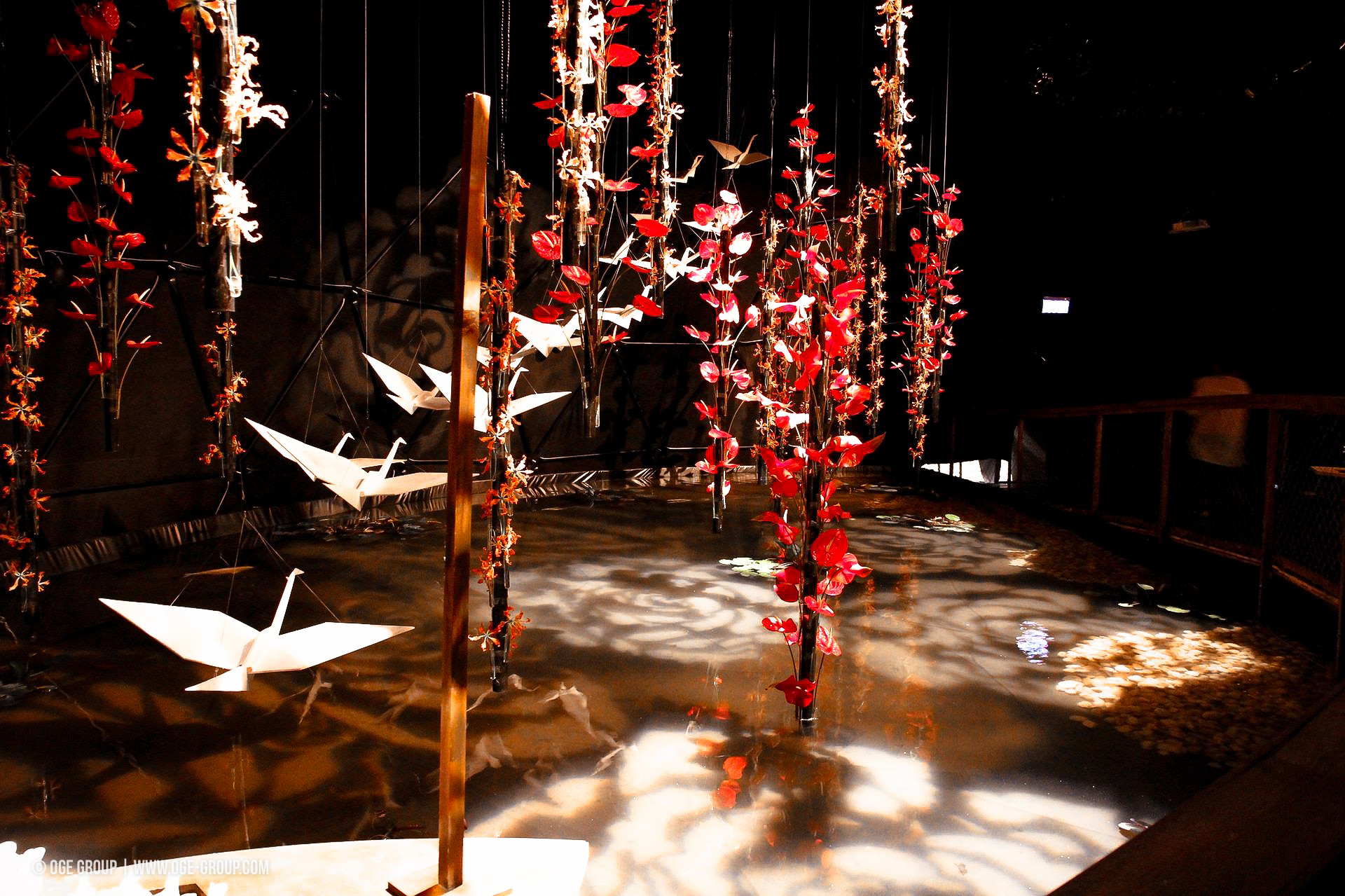 OGE-Flower-Show-Asian-4