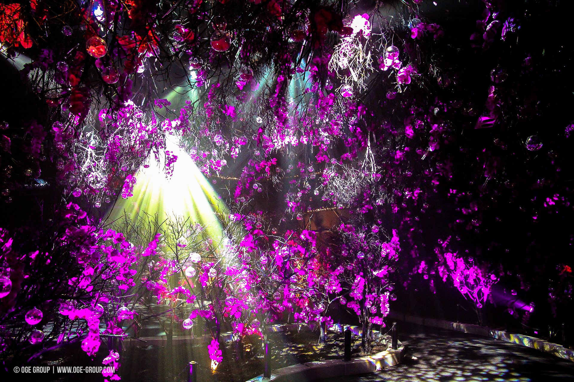 OGE-Flower-Show-upside-8