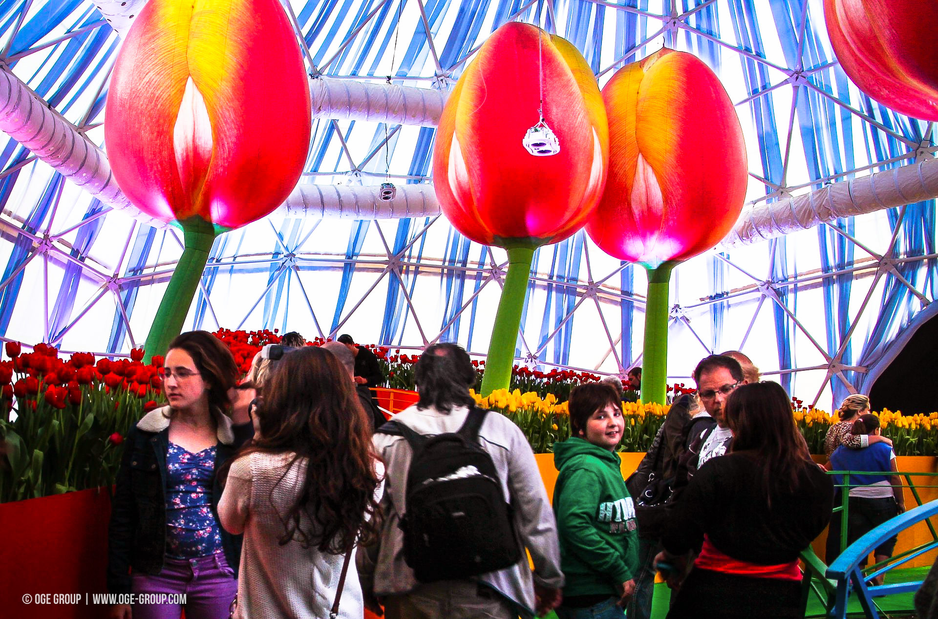 OGE-Flower-Show-Rainbow-19