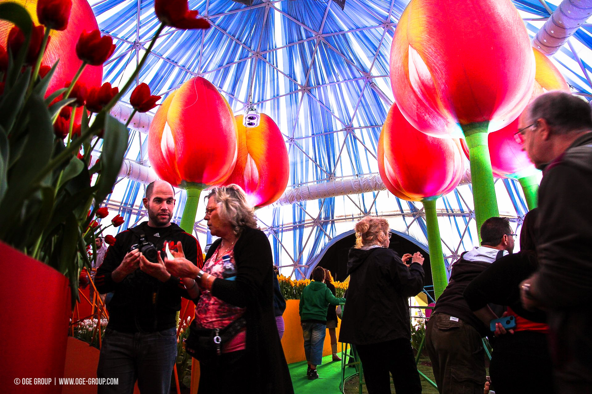 OGE-Flower-Show-Rainbow-22