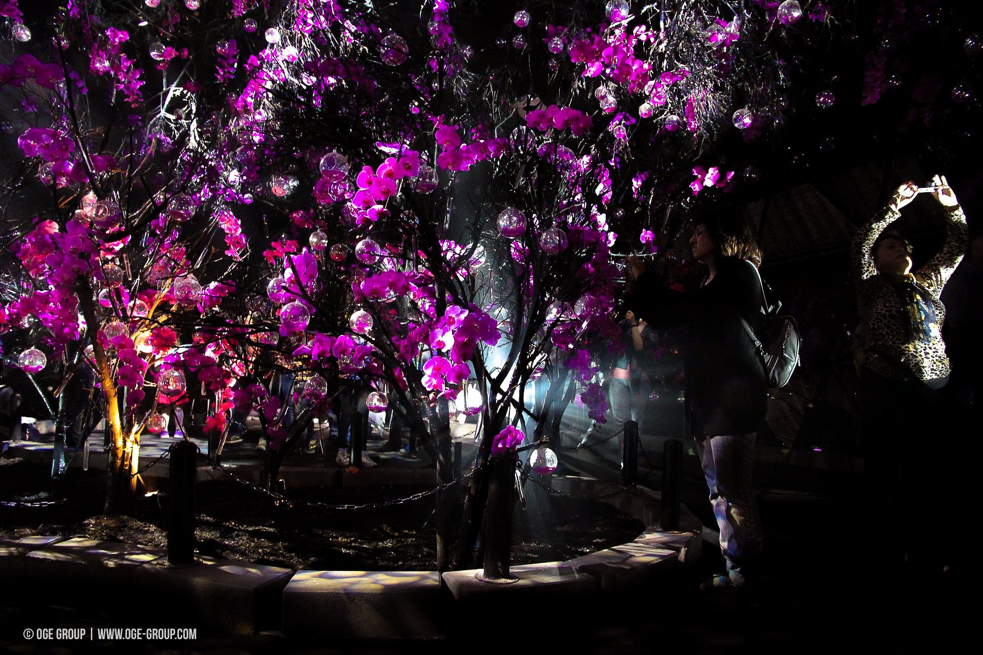 OGE-Flower-Show-upside-17