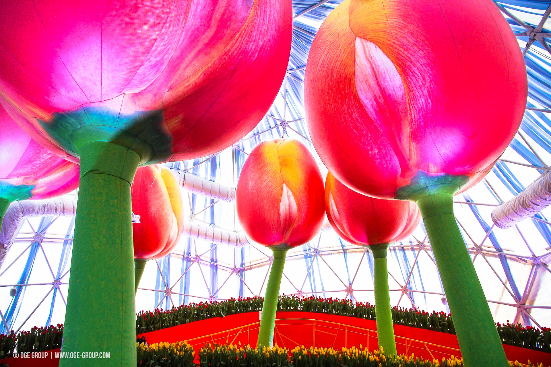 OGE-Flower-Show-Rainbow-15