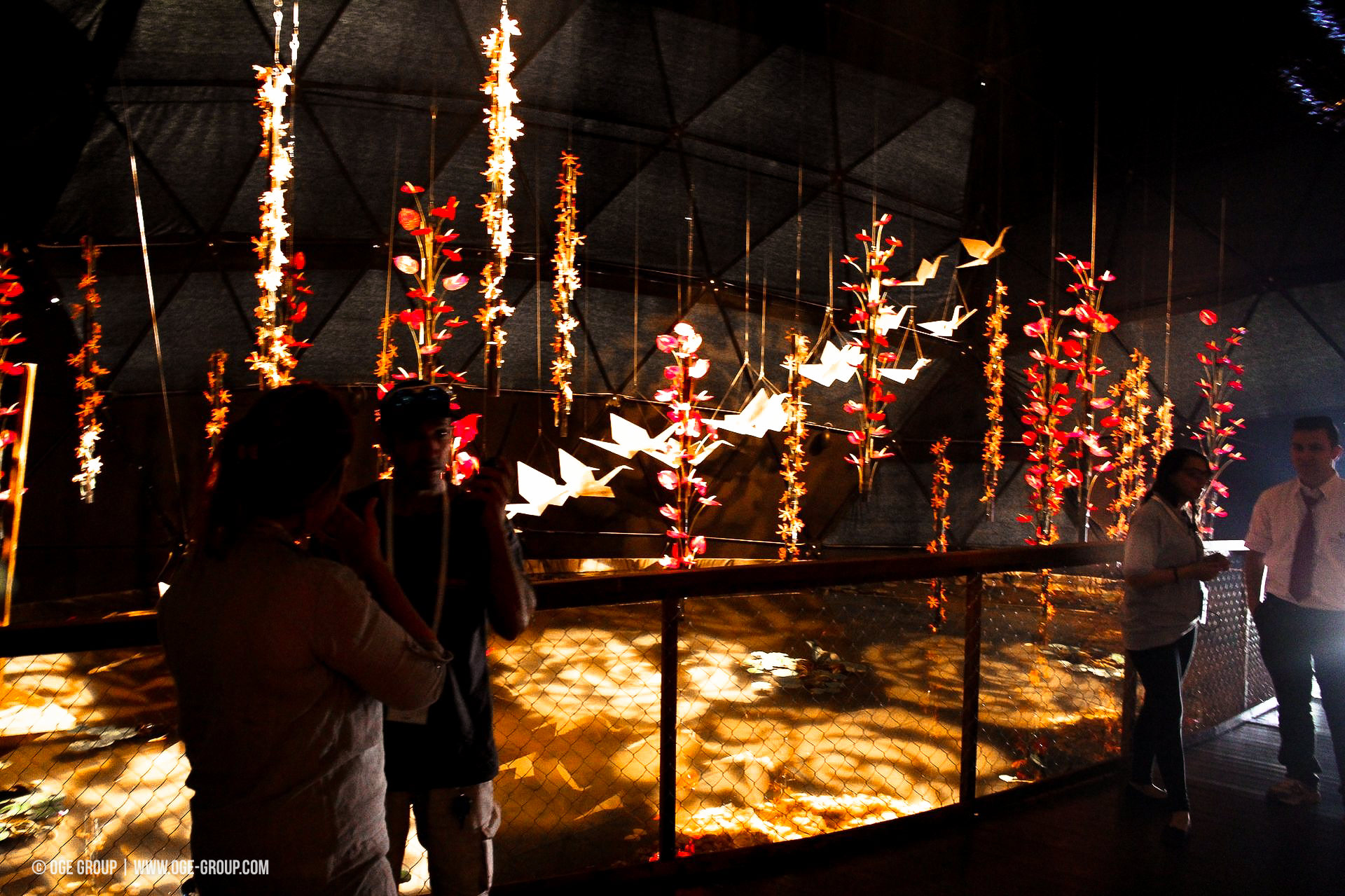 OGE-Flower-Show-Asian-6