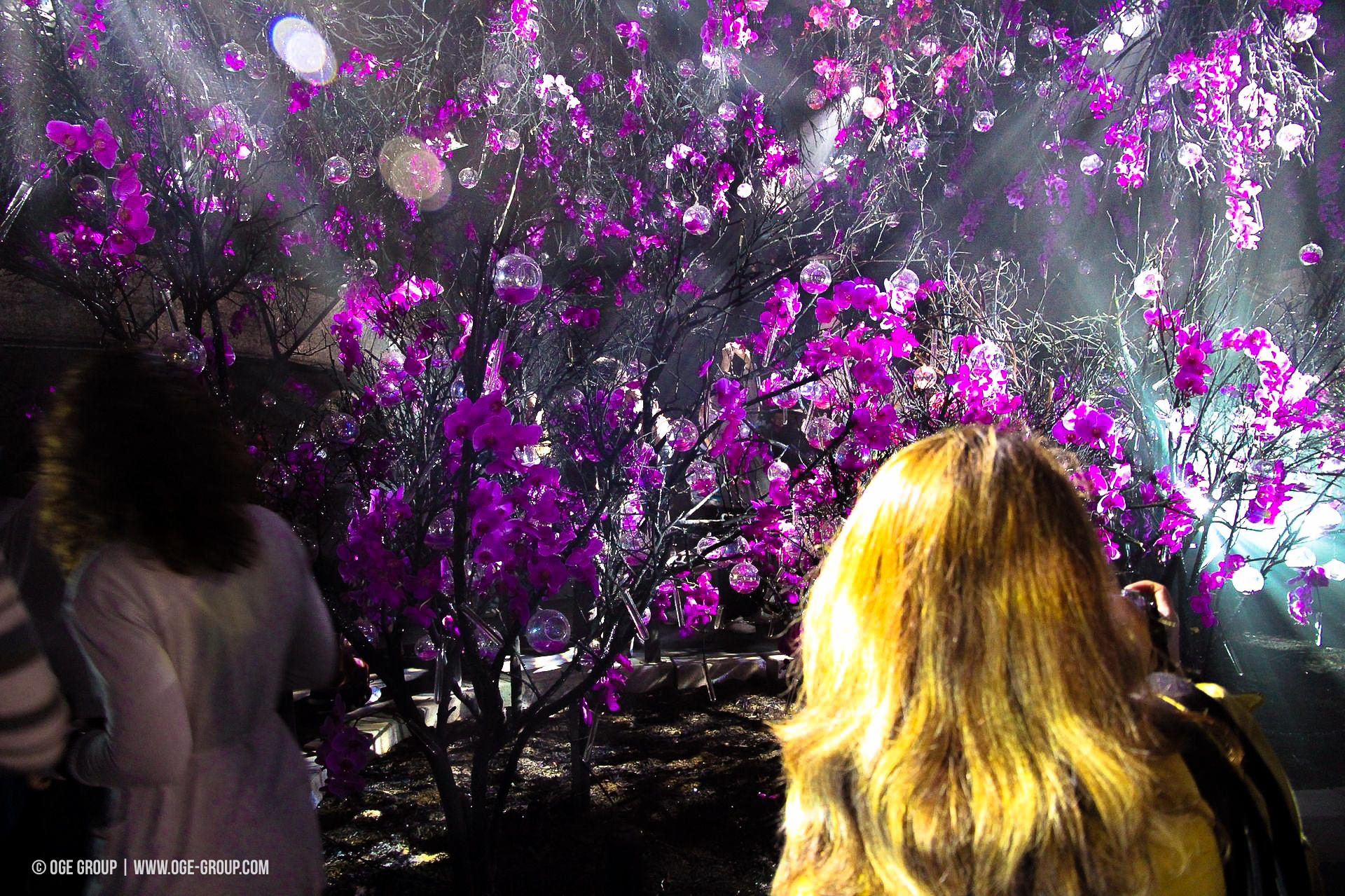 OGE-Flower-Show-upside-15
