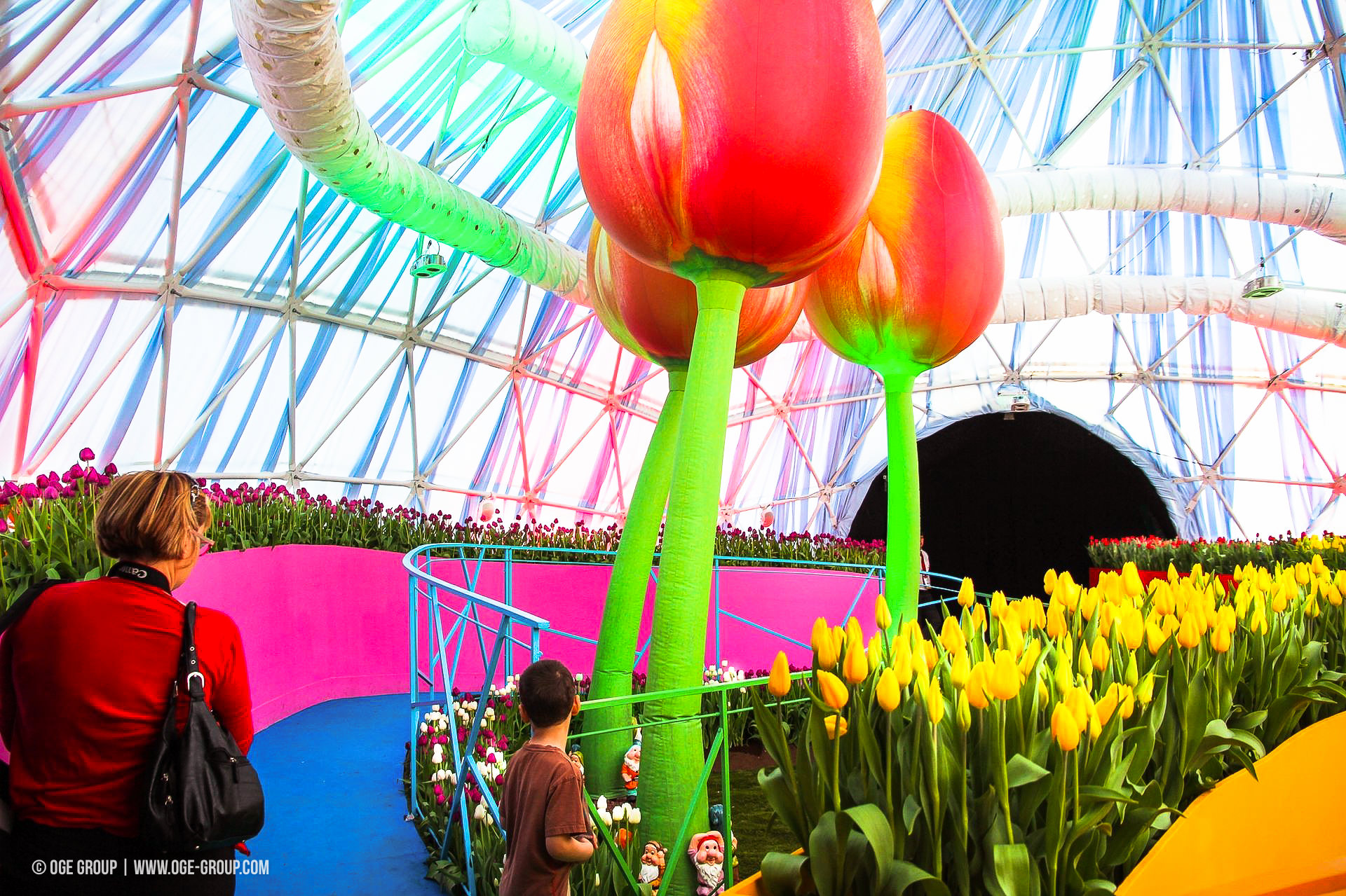 OGE-Flower-Show-Rainbow-7
