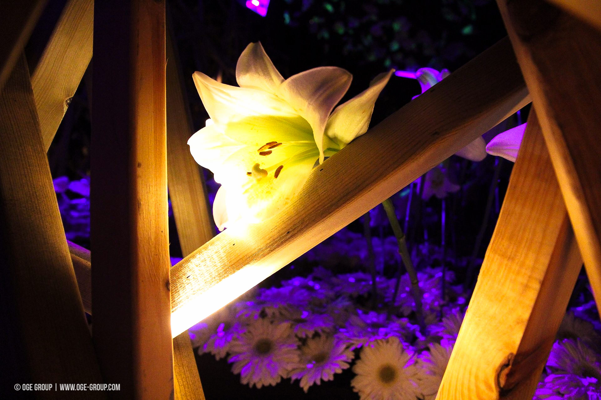 OGE-Flower-Show-Secret-9