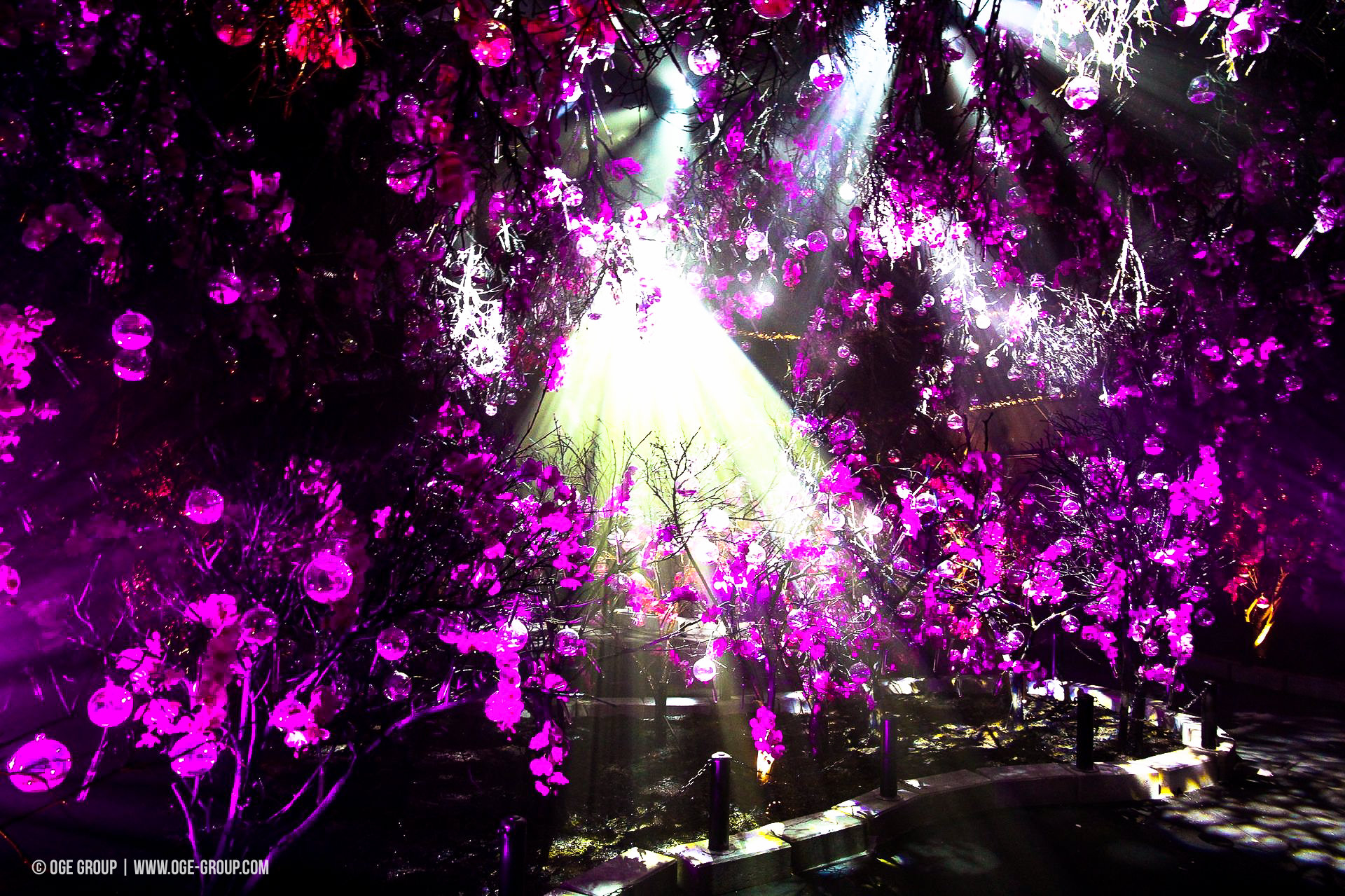OGE-Flower-Show-upside-6