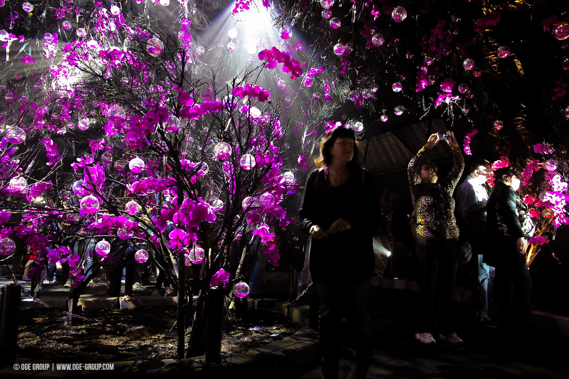 OGE-Flower-Show-upside-18