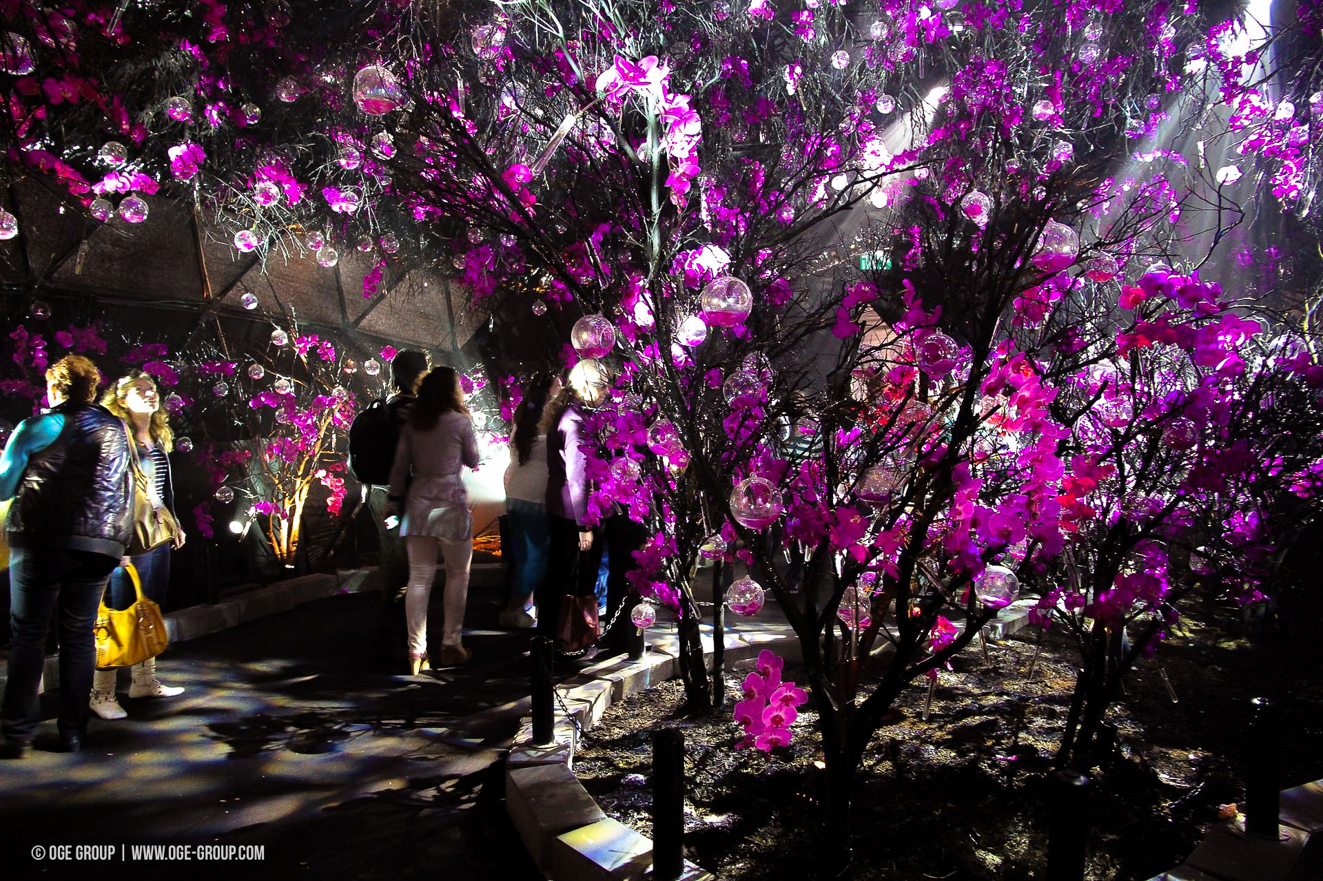 OGE-Flower-Show-upside-4