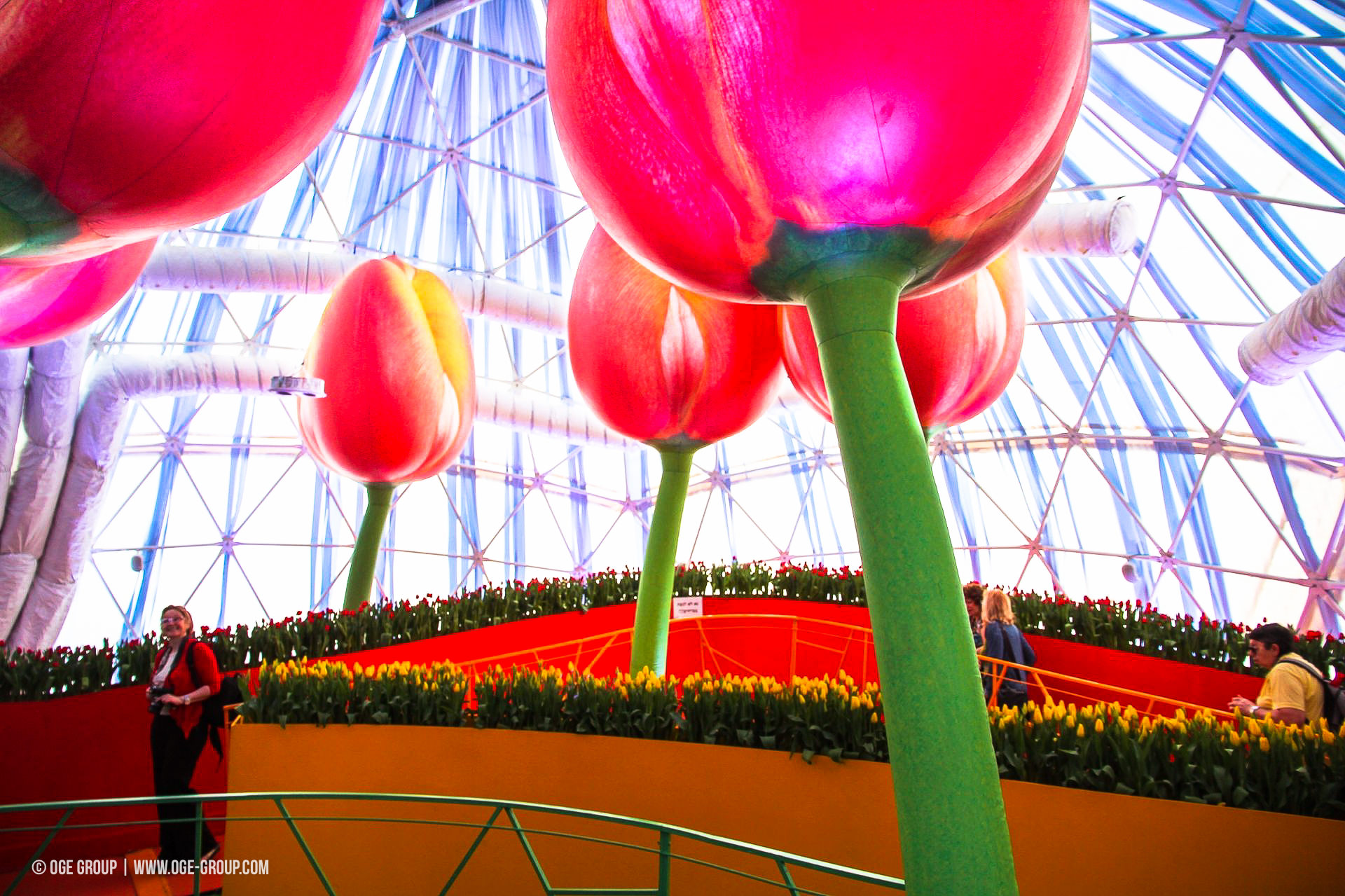 OGE-Flower-Show-Rainbow-16