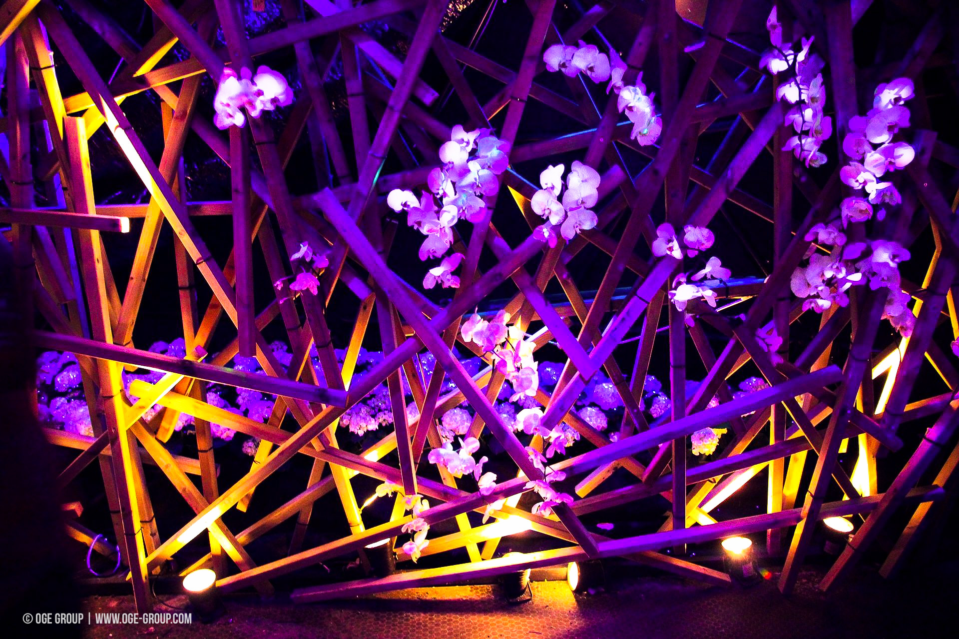 OGE-Flower-Show-Secret-8