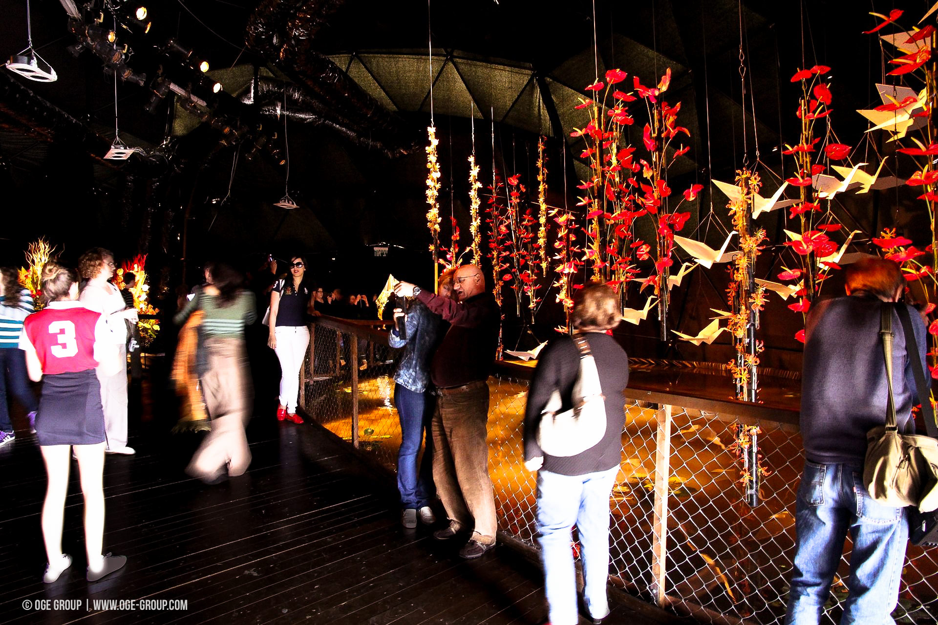 OGE-Flower-Show-Asian-13