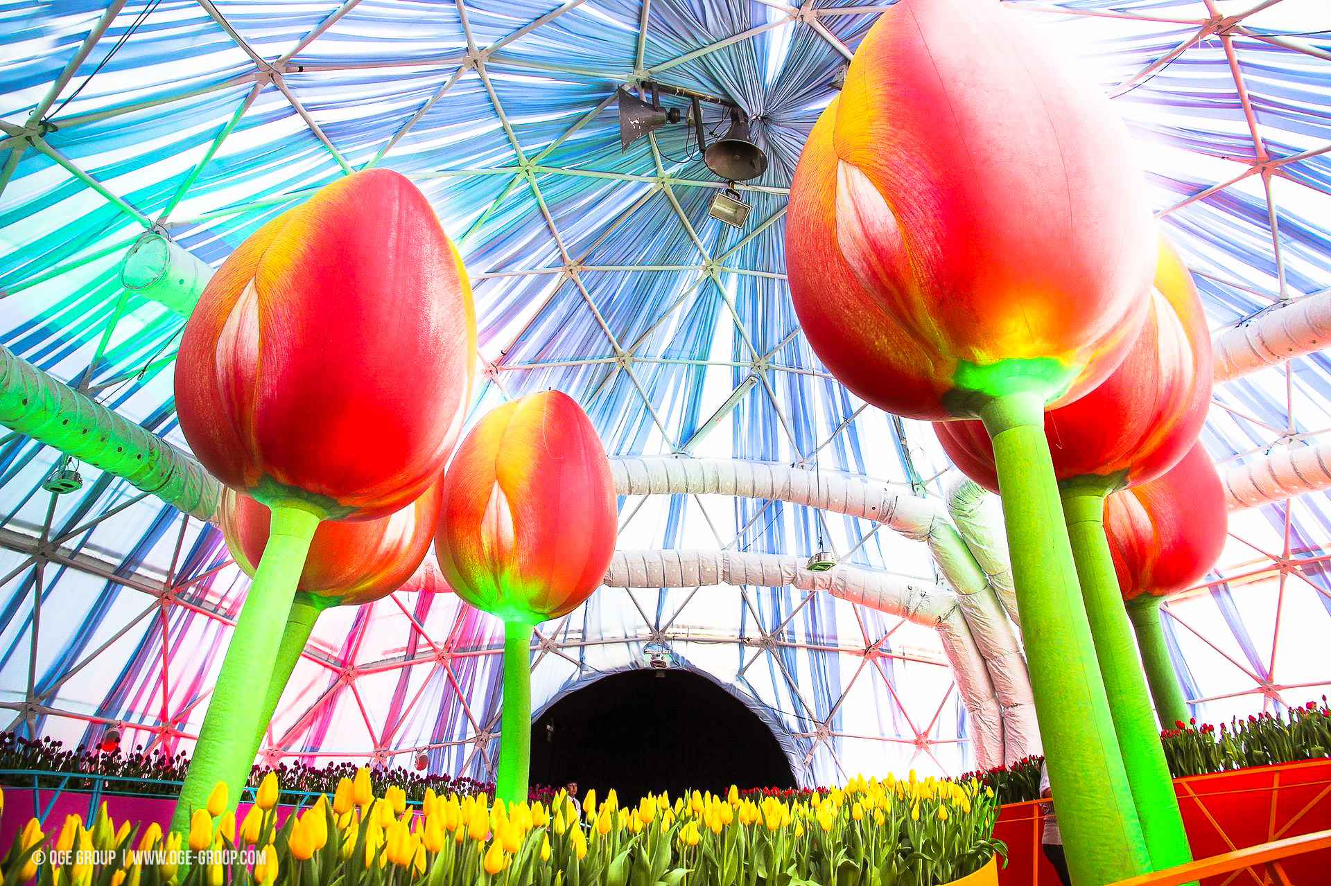 OGE-Flower-Show-Rainbow-9
