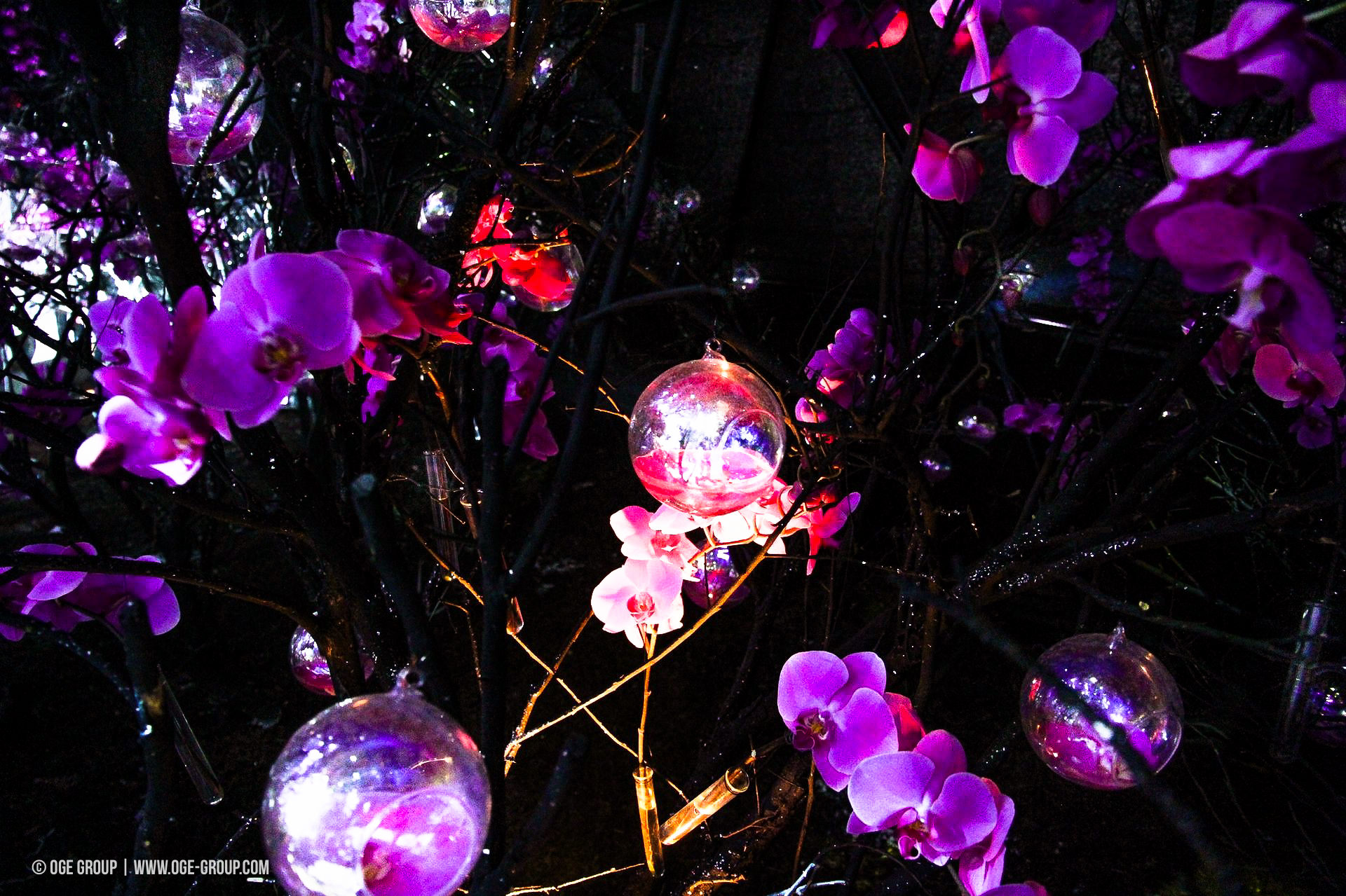 OGE-Flower-Show-upside-10