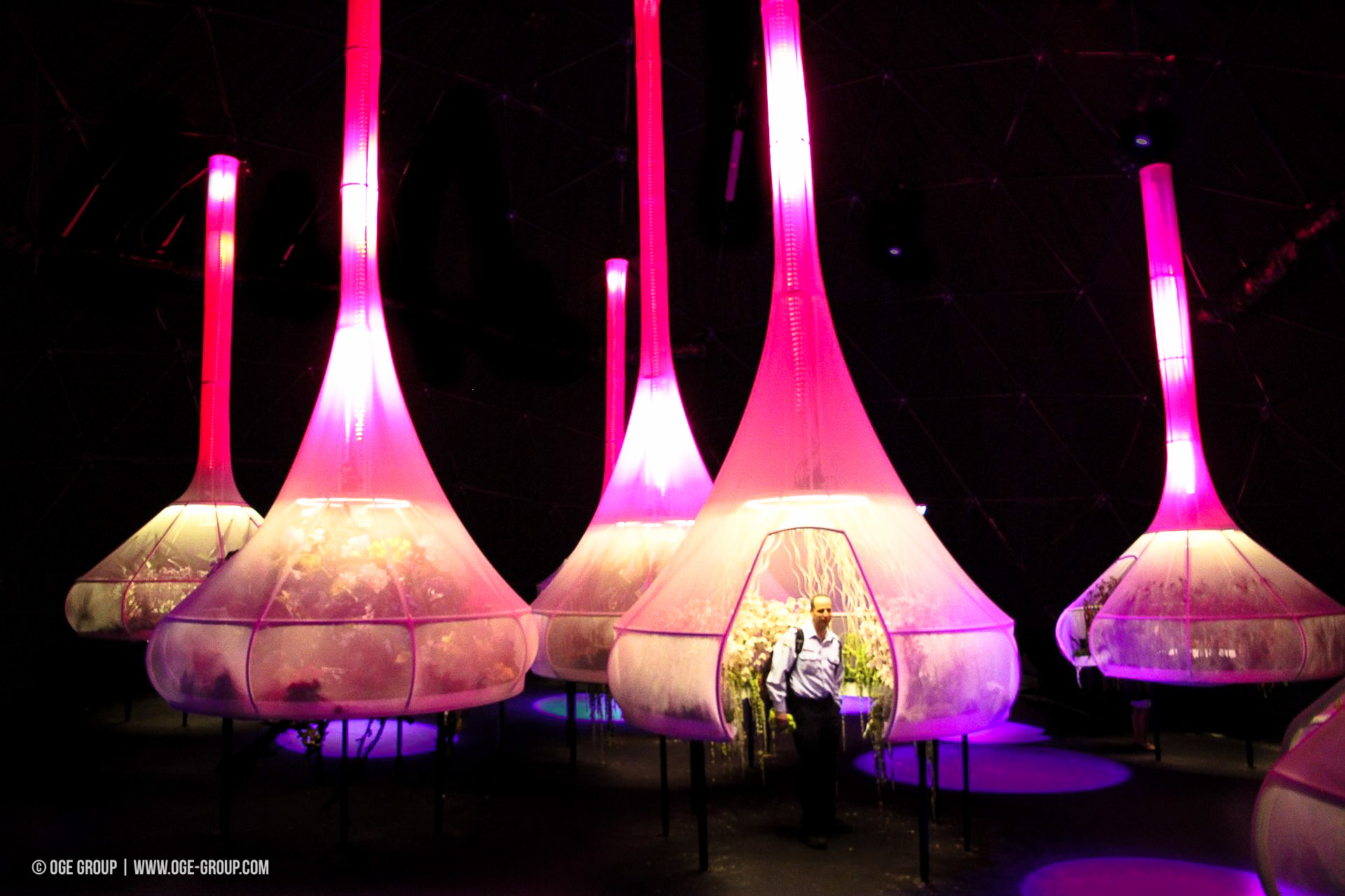 OGE-Flower-Show-Scents-2