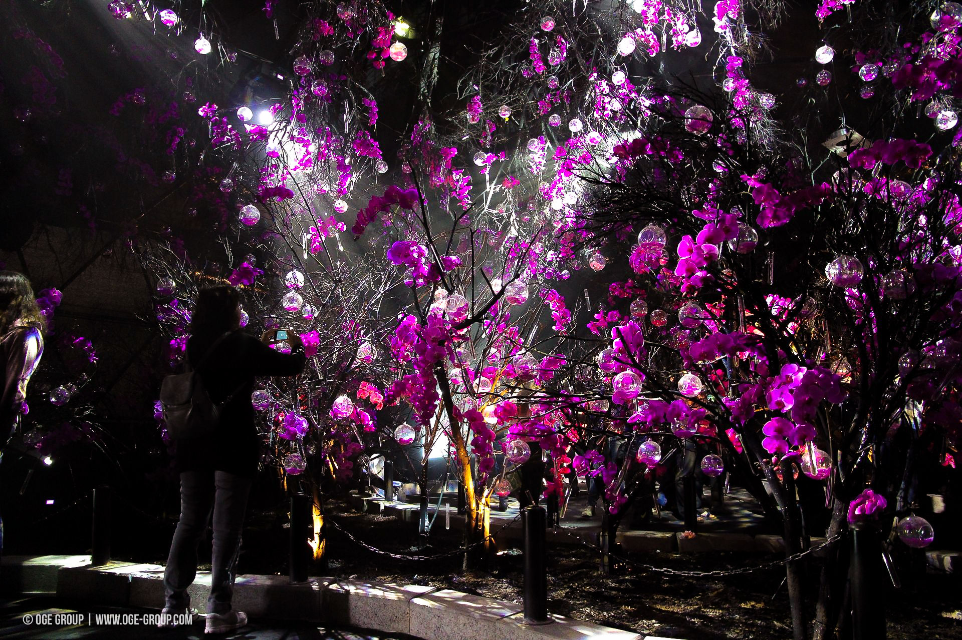 OGE-Flower-Show-upside-19