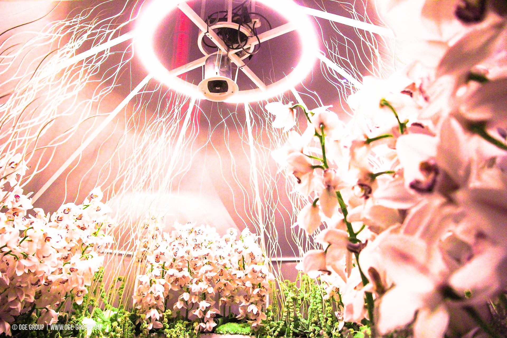 OGE-Flower-Show-Scents-20