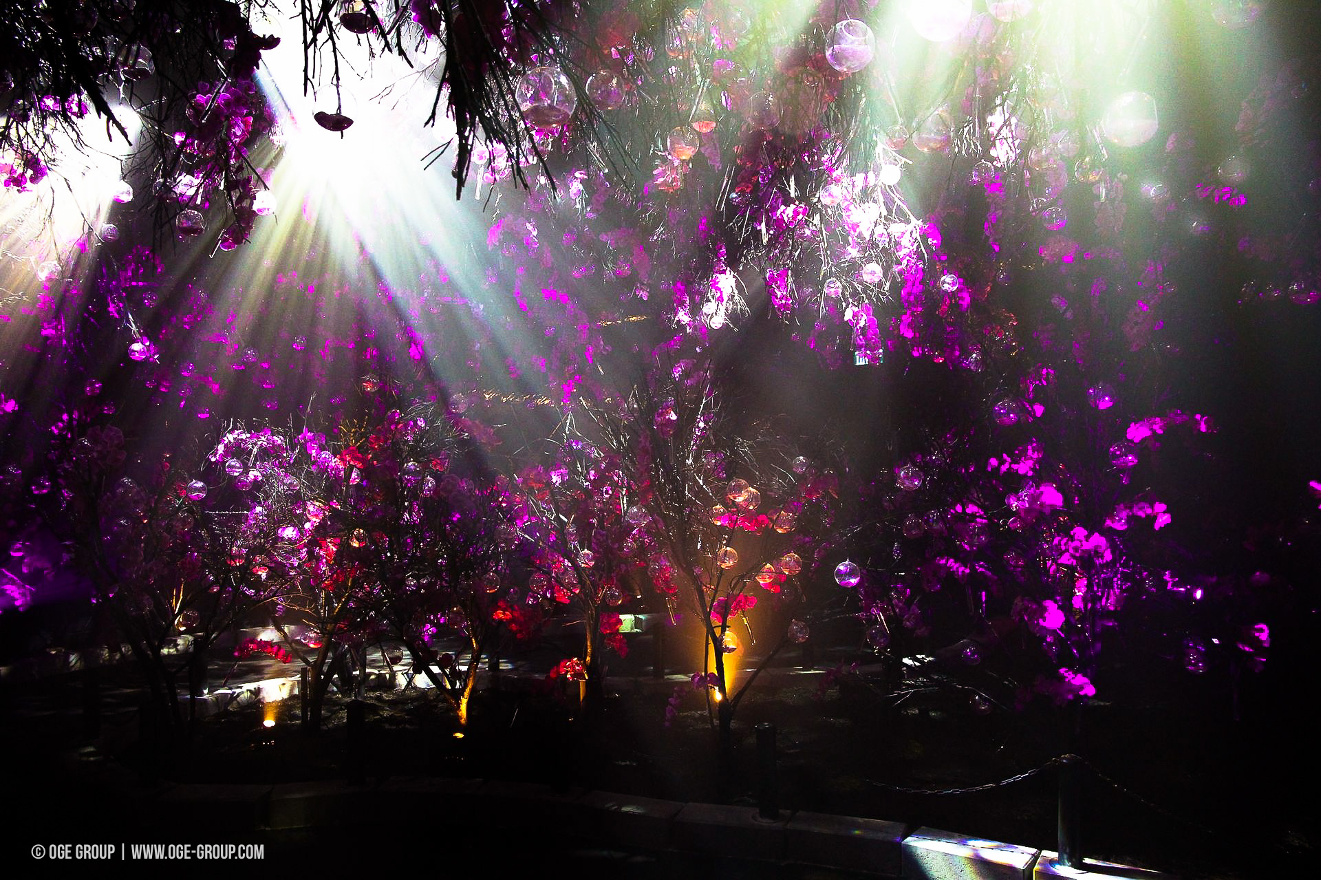 OGE-Flower-Show-upside-20